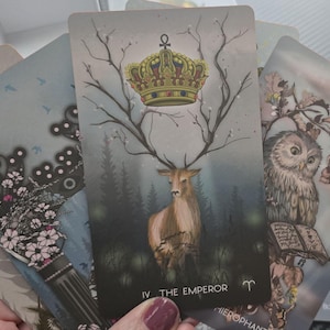 Jeu de tarot indépendant, 4e édition du tarot Meraki, Tarots fantaisistes, Jeu de tarots Animal Spirits, Jeu de tarots inhabituel, Jeu de cartes de tarot Nature