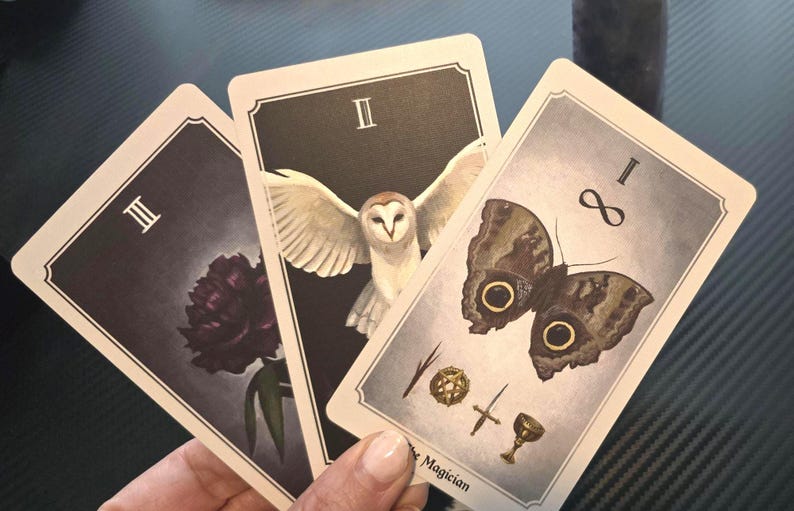 May include: Three tarot cards are held in a hand. The cards feature illustrations of a dark red flower, a white owl with spread wings, and a butterfly with eye-like markings. The card on the right is labeled "The Magician."
