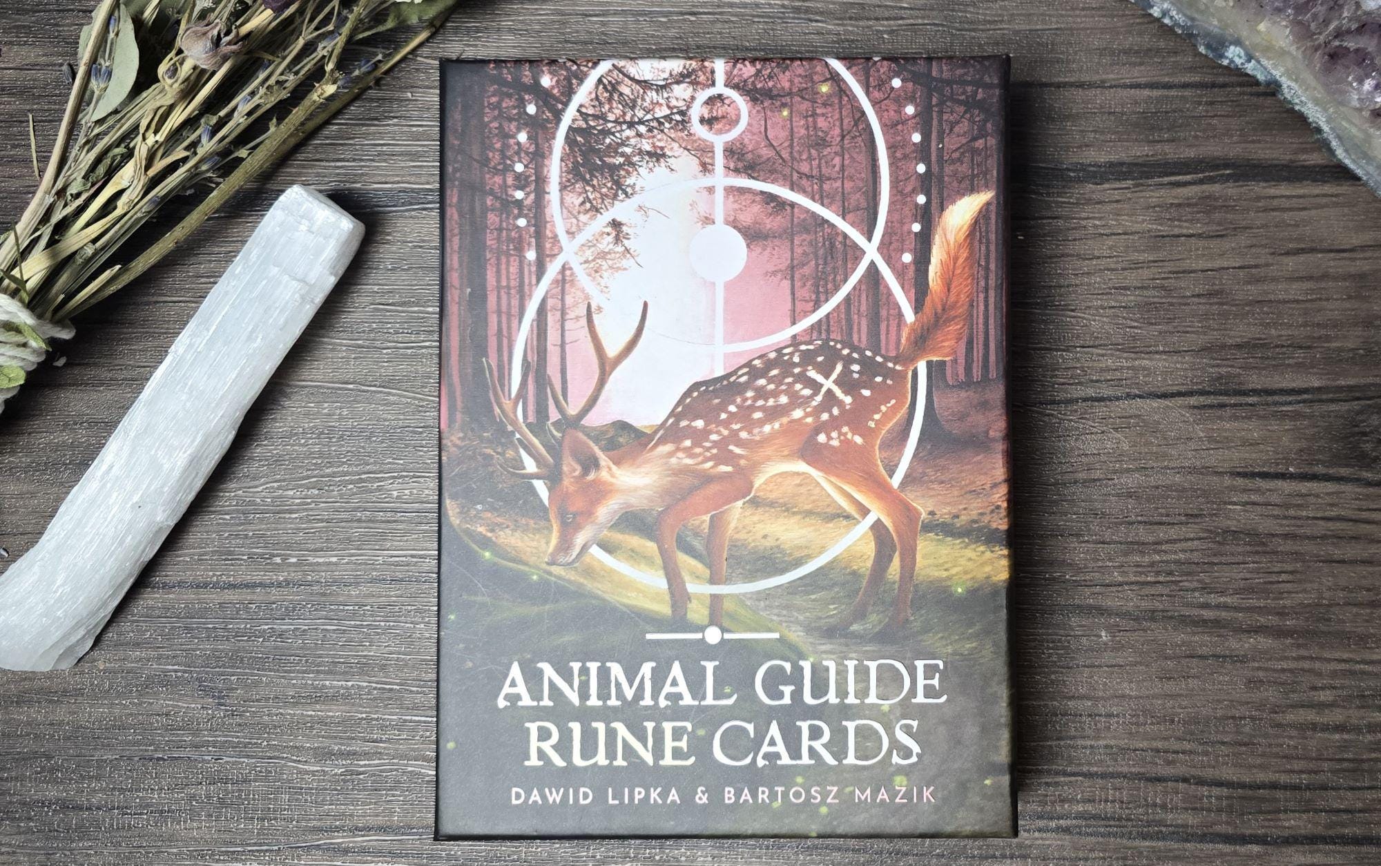 25 Animal Guide Rune Cards, Woodland Deck With Guidebook, Shamanic Rune ...
