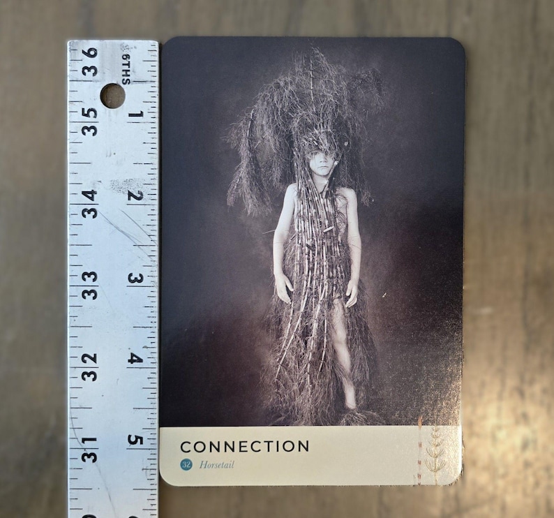 May include: A black and white photograph of a child wearing a long, woven dress made of natural materials. The child's face is obscured by the dress. The card has the word "CONNECTION" and the word "Horsetail" printed on it.