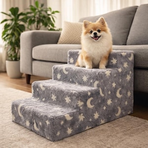 May include: A gray pet step with three steps, adorned with a pattern of white stars and crescent moons. A small, fluffy dog with tan and white fur sits on the top step, looking at the camera.