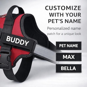 Peut inclure: Harnais pour chien rouge et noir avec le nom "BUDDY" sur un patch. Le harnais comporte des bandes réfléchissantes et le texte "PERSONNALISEZ AVEC LE NOM DE VOTRE ANIMAL". Des patchs supplémentaires montrent "PET NAME", "MAX" et "BELLA".