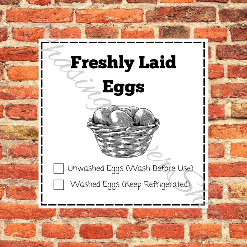 Puede incluir: Un cartel blanco con texto negro que dice "Freshly Laid Eggs". Debajo del texto hay una ilustraci&oacute;n en blanco y negro de una cesta de huevos. Hay dos casillas de verificaci&oacute;n debajo de la ilustraci&oacute;n. La primera casilla de verificaci&oacute;n est&aacute; etiquetada como "Unwashed Eggs (Wash Before Use)". La segunda casilla de verificaci&oacute;n est&aacute; etiquetada como "Washed Eggs (Keep Refrigerated)".