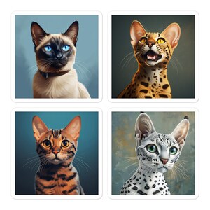 Whiskers & Spots (Kingdom Collection)