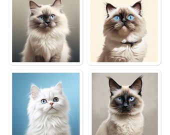 Fiocco di neve e Casper (Collezione del Regno)