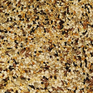 May include: Close-up of a mix of birdseed, featuring a variety of seeds in shades of brown, tan, beige, and black. The seeds are of different shapes and sizes, creating a textured appearance. The image suggests a product for bird feeding.