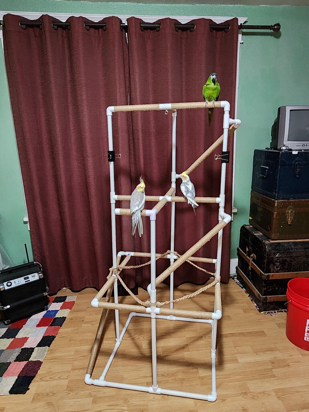 Ultra Deluxe XL Parrot Play Gym Kit 4'11”, Upholstered Perches, PVC ...