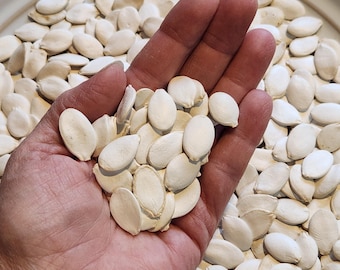 Pumpkin Seeds in Shell for Pet Birds, High Value Parrot Treats, Cockatiel, Conure, Macaw & Small Pet Snack
