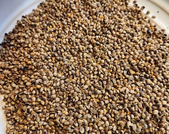 High Value Treat for Parrots, Cockatiels & Conures, Small Pets, food topper, training treats