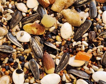 Supreme Treat Mix for medium to large beaks,  Premium Forage Blend, Nuts Seeds Fruit, Macaw, Cockatoo, Conure, mouse, rat, gerbil, hamster