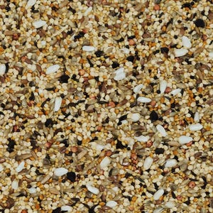 May include: A close-up of a mixture of birdseed, including white millet, black sunflower seeds, and other small seeds.