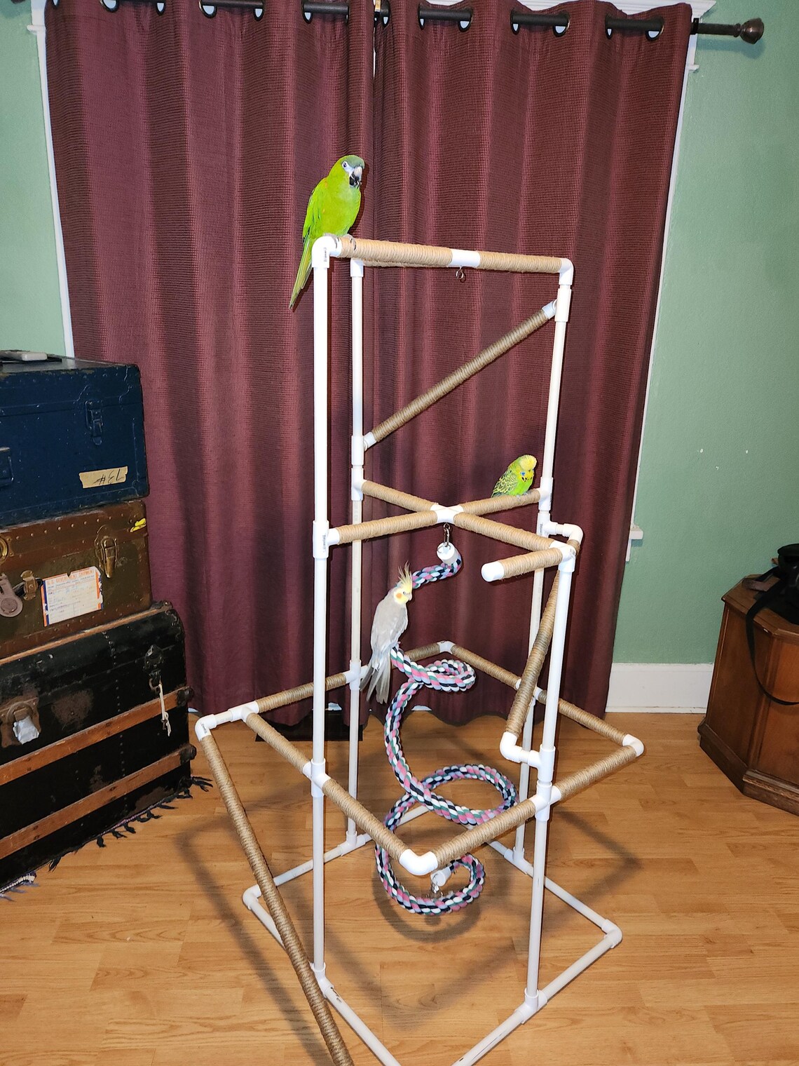 DIY Deluxe PVC Bird Play Stand How-to Guide With Ramps (digital ...