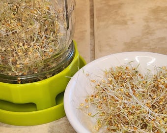 Double Sprout Kit for Pet Birds, Sprouting System, budgie, cockatiel, lovebird, parrotlet, conure, parrot, canary, finch, hamster, bunny