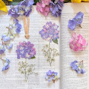 May include: Dried purple and pink hydrangea flowers and sprigs of white flowers are arranged on the pages of an open book. The book's pages display printed text. A small, light-coloured wooden object sits near the flowers.
