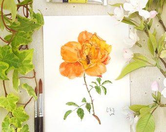 Originalgemälde, orangefarbene Rosen- und Bienenmalerei, Blumengemälde, Aquarellmalerei, Blumenmalerei, botanische Illustration,
