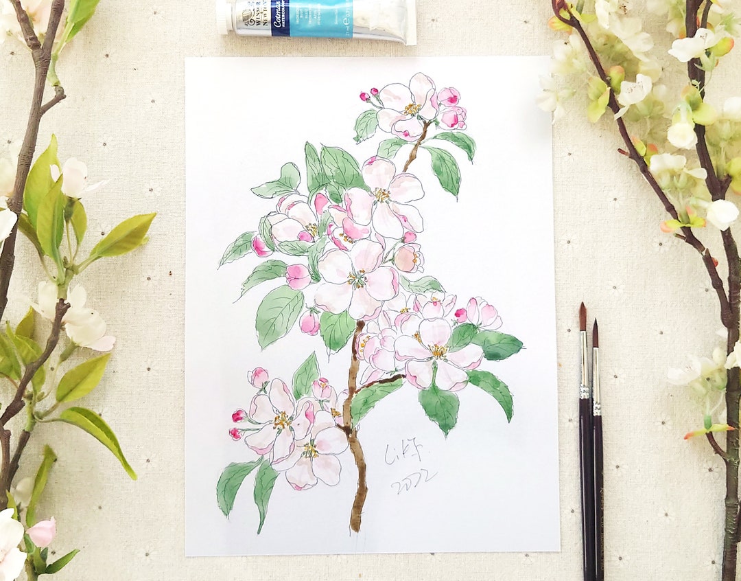 Original Pink Apple Blossom Watercolor Painting: Botanical Illustration ...
