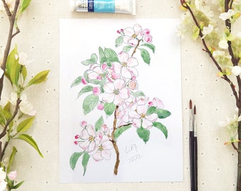 Original akvarellmålning med rosa äppelblommor: Botanisk illustration (18 x 25 cm)