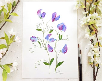 Original Sweet Pea Watercolor Painting: Magenta & Blue Floral Art