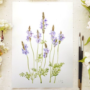 Original Purple Fern & Lavender Watercolor Painting: Botanical Illustration