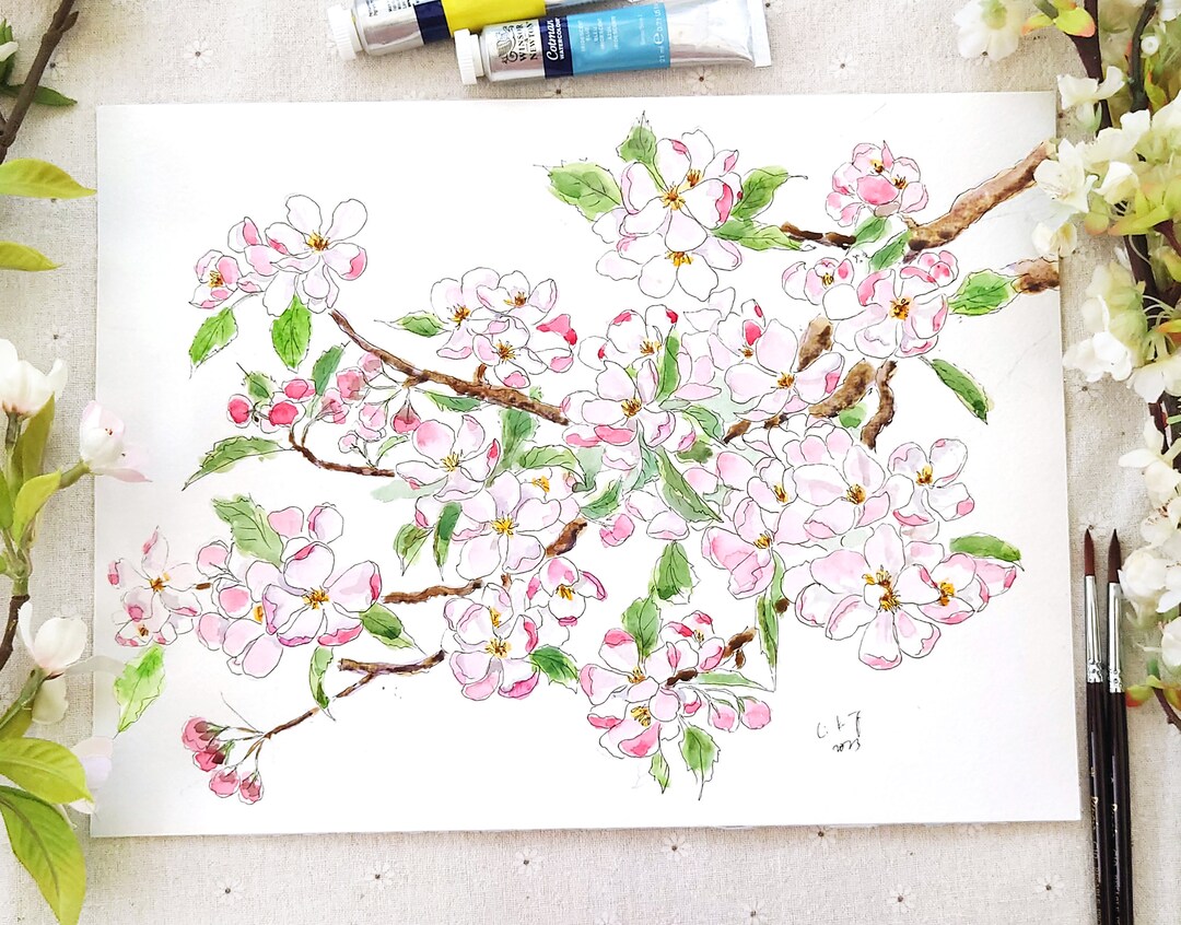 Original Apple Blossom Watercolor Painting: Botanical Floral Art (9.4 X ...