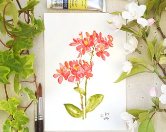 peinture originale, Epidendrum radicans, orchidée orangée, aquarelle, peinture florale, fleur, illustration botanique,