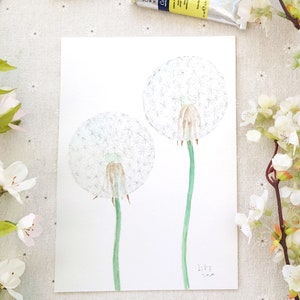 dipinto originale, dipinto soffio di dente di leone bianco, pittura botanica, acquerello, illustrazione botanica, pianta, illustrazione botanica,