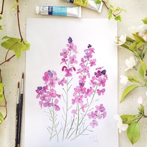 Original akvarellmålning med väggblommor: Botanisk illustration, magenta blomkonst