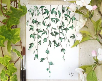 May include: A watercolor painting of green ivy vines hanging down. The painting is on white paper with a white border. The artist's signature is in the bottom right corner.