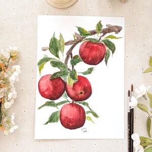 Dipinto ad acquerello originale, dipinto di frutta di mela rossa, dipinto di frutta Illustrazione botanica, pittura alimentare, arti vegetali, arti agricole