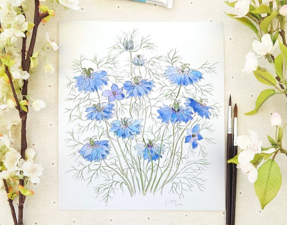 ニゲラの花のオリジナル水彩画：植物イラスト - Etsy 日本