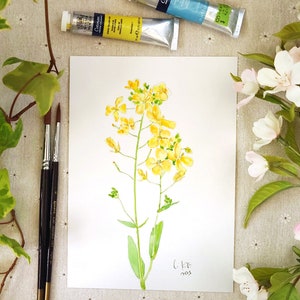Original Yellow Rapeseed Flower Watercolor Painting: Botanical Illustration A5