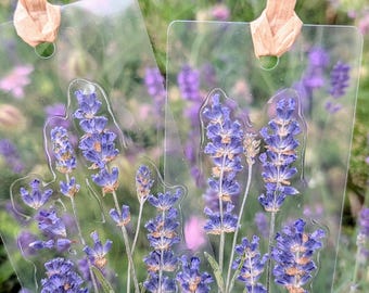 押し花ラベンダーしおり：本物のドライフラワー、植物好きの方への