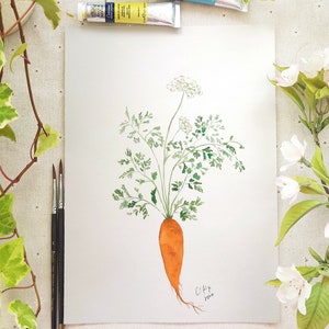 Original Aquarell Malerei Möhre: Botanische Illustration, Bauernhof Kunst