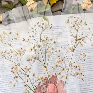 Peut inclure: Quatre marque-pages transparents avec des fleurs blanches pressées et des tiges brunes. Les marque-pages sont suspendus à un livre avec un ruban brun.