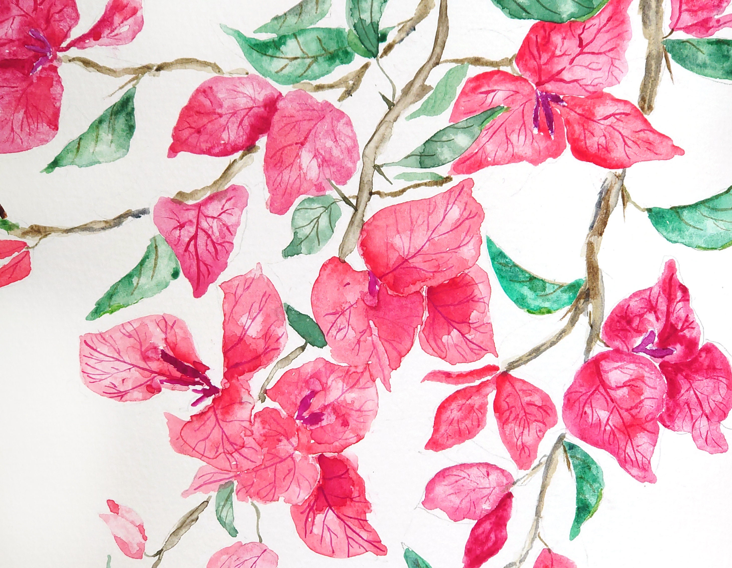 ブーゲンビリアの水彩画（オリジナル）：赤みがかったピンクの花の