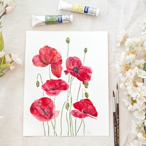 dipinto originale, fiore di papavero rosso, dipinto botanico, dipinto floreale, acquerello, fiore, illustrazione botanica, fiore d'arancio