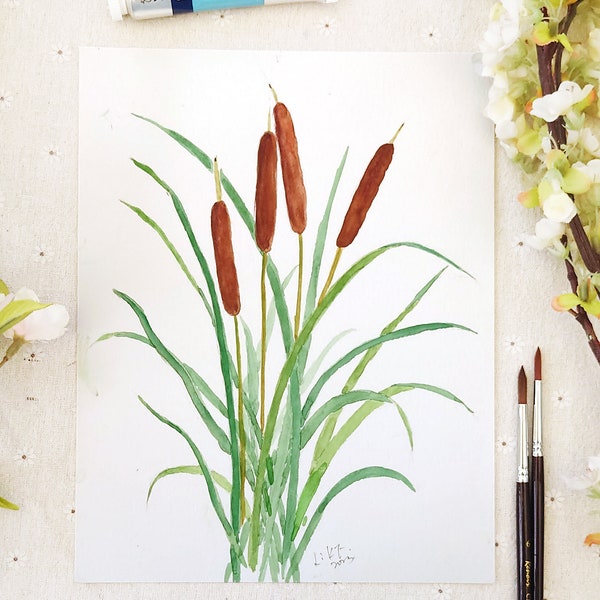 Aquarelle originale de quenouilles, illustration botanique, art zen