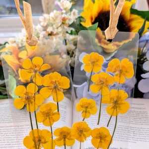 May include: Two clear bookmarks, each with dried yellow flowers and brown paper ribbon. The bookmarks are over an open book. A sunflower and other flowers are in the background. The book has text.
