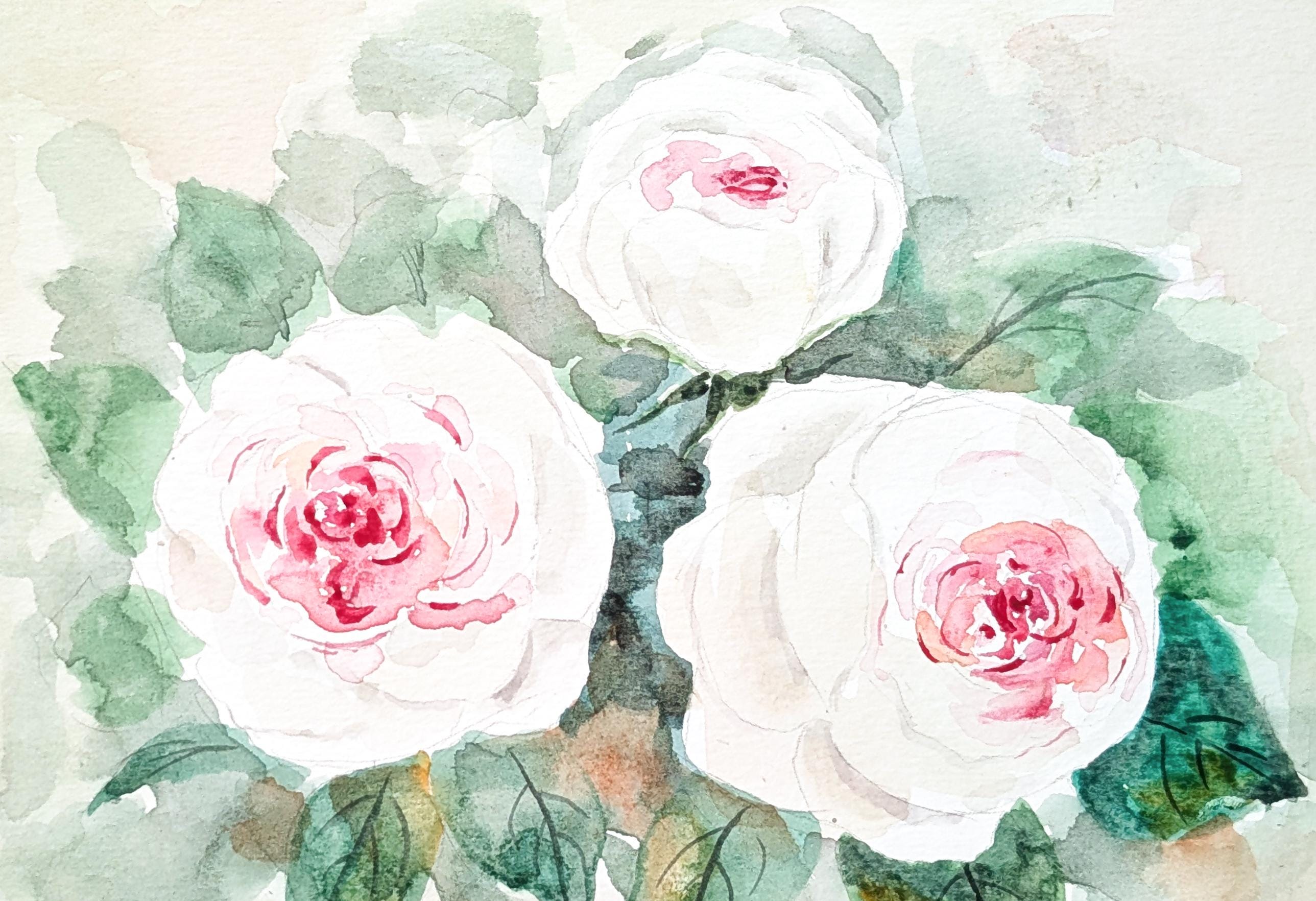 手描きのピンクのバラの水彩画：花の植物アート - Etsy 日本