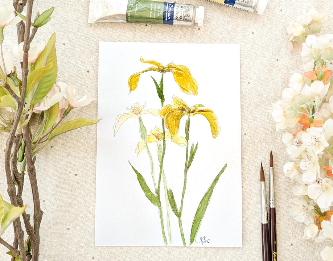Original Yellow Iris Watercolor Painting: Botanical Floral Art - Etsy