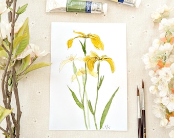 Original Yellow Iris Watercolour Painting: Botanical Floral Art