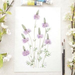 Hand-Painted Purple Prairie Clover Watercolor: Botanical Illustration