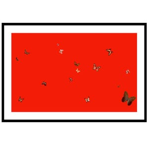 Damien hirst butterfly - Etsy 日本