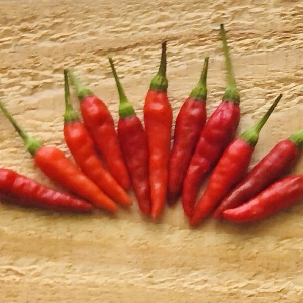 Bird's Eye Hot Peppers (25), Organically Grown, Non-GMO, Container Friendly