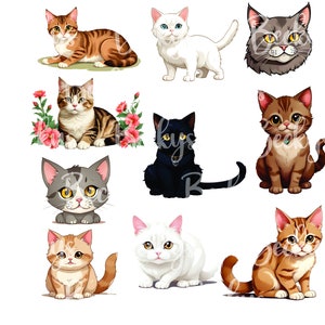 Puede incluir: Una colección de nueve gatos de dibujos animados en varias poses y colores. Los gatos están todos representados con ojos grandes y expresiones amigables. Algunos de los gatos llevan collares con etiquetas.