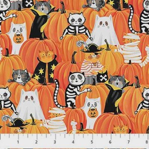 The Boo Crew Peek Pumpkins 28202-54- Northcott Fabric- Halloween- Cats- Costumes- Pumpkins-Quilting Cotton Fabric