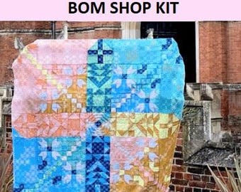 May include: A quilt kit with a variety of colorful fabric squares in shades of blue, pink, yellow, and brown. The fabric squares are arranged in a geometric pattern. The kit includes instructions for making a quilt.