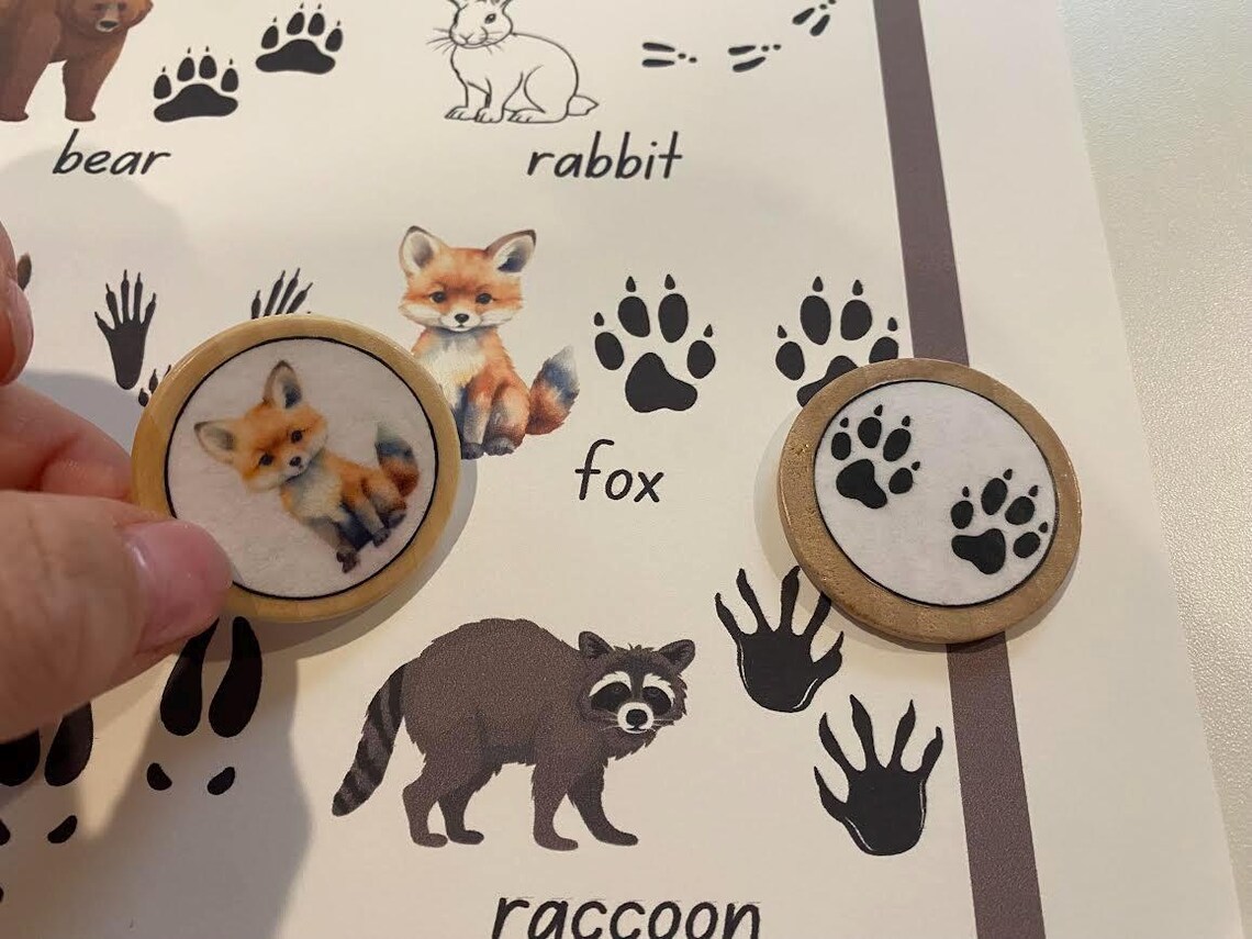 Animal Tracks Sensory Matching Activity - DIGITAL DOWNLOAD - Etsy