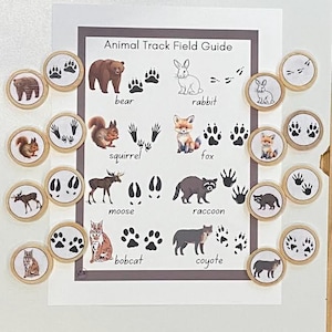 Attività di abbinamento sensoriale di tracce di animali - DOWNLOAD DIGITALE