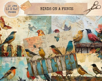 Birds Junk Journal, Bird Pages, Bird On a Fence Junk Journal , Bird Lovers Junk Journal, Digi Kit, Printable Journal, Digital Crafts